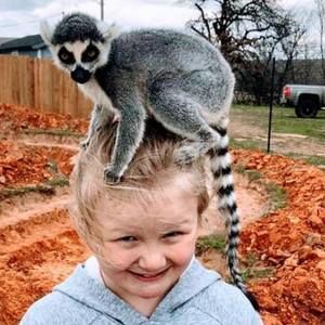 Meet your Posher, Robin